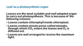 KK7BioSEP2109