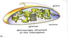 KK7BioSEP2110