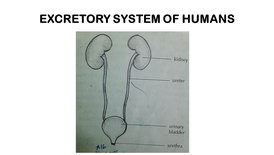 KK7BIOfeb104