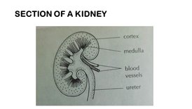 KK7BIOfeb105