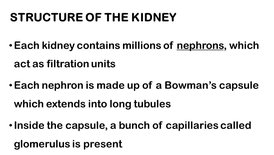 KK7BIOfeb106