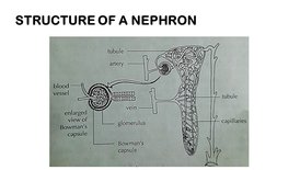 KK7BIOfeb107